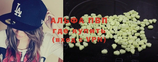 сатива Абинск