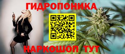 спайс Кунгур