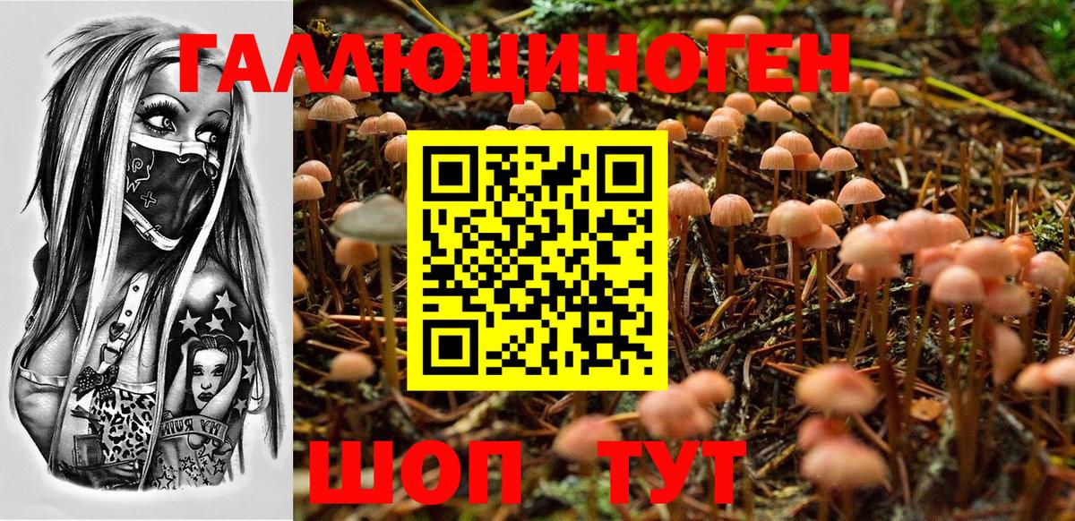 Псилоцибиновые грибы мицелий Коряжма